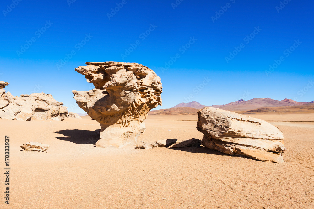 Stone Tree, Altiplano