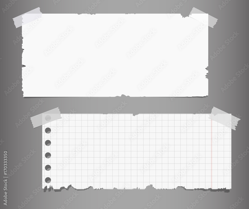 Set of ripped notepaper sheets blank and chequered with sticky tape on grey background