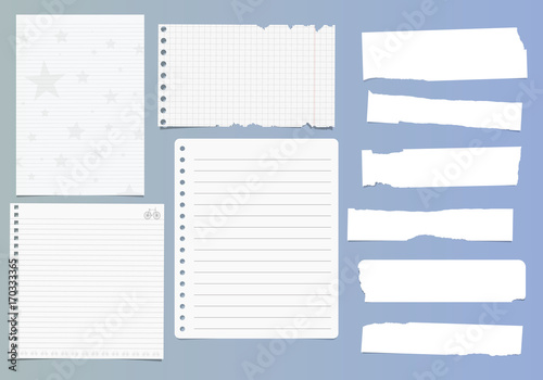 Set of notebook paper sheets - chequered, ruled, with stars and bicycle design and ripped pieces of blank white paper on blue background
