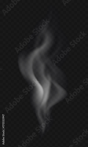 Vector realistic smoke effect on transparent background