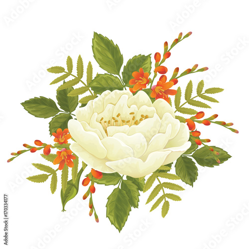 White rose graphic flowers