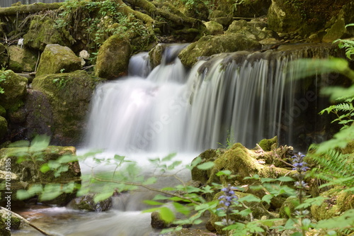 Langzeitbelichtung im Wald bei einem Wasserfall