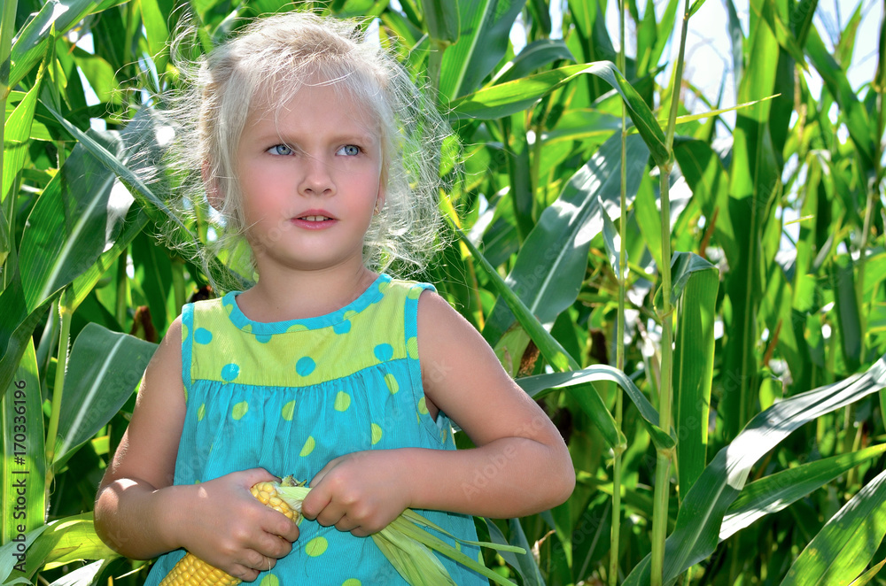 A small, cheerful girl among high, green corn.