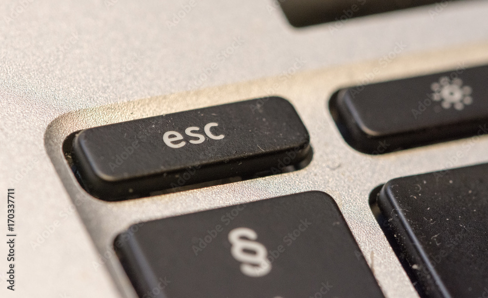 Part of pc keyboard with esc and paragraph keys Part of pc keyboard with esc and paragraph keys