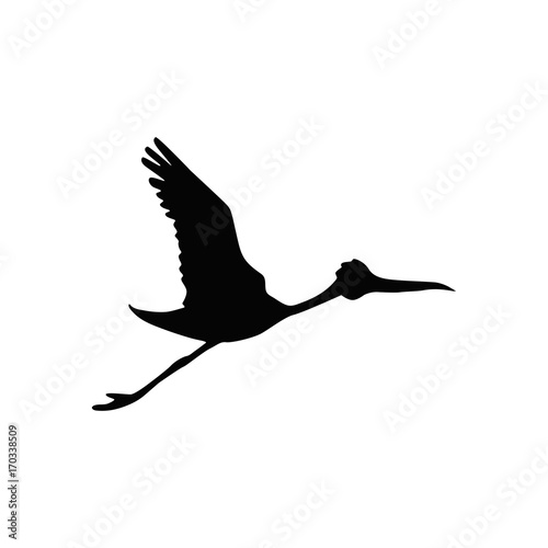 Stork © skarida