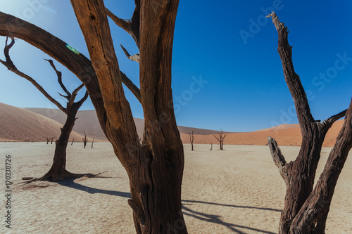 Sossusveli. Dead Vlei. Deadvlei. Namib Desert