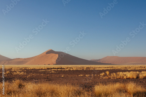 Sossusvlei. Dune 45. Namib Desert