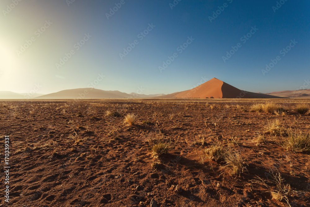 Sossusvlei. Dune 45. Namib Desert