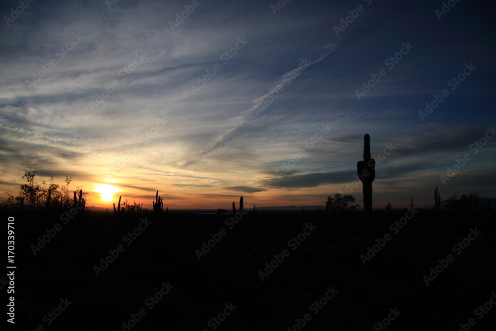 Naklejka premium desert sunset