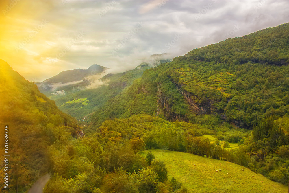 Fototapeta premium beautiful autumn Norway landscape . mountains and meadow with sheeps. Travel and adventure