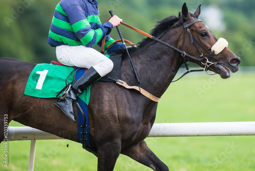 Close up on race horse and jockey on the racecourse