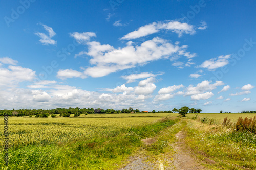 Small footpath in the middle of nature photo