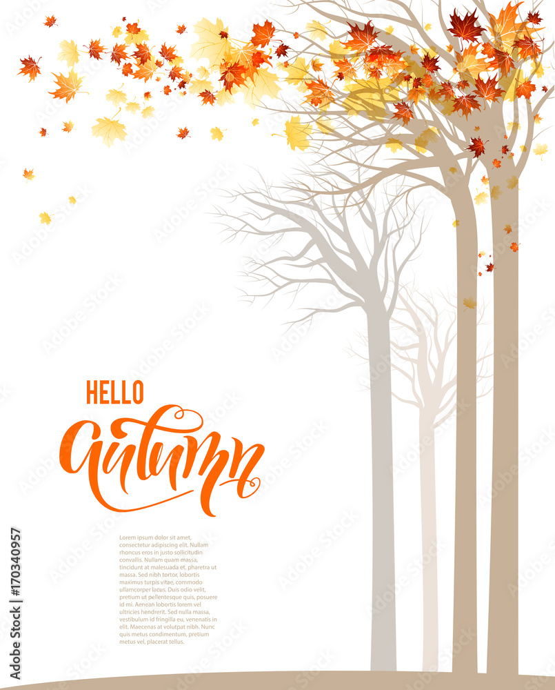 Obraz premium Autumn trees banner