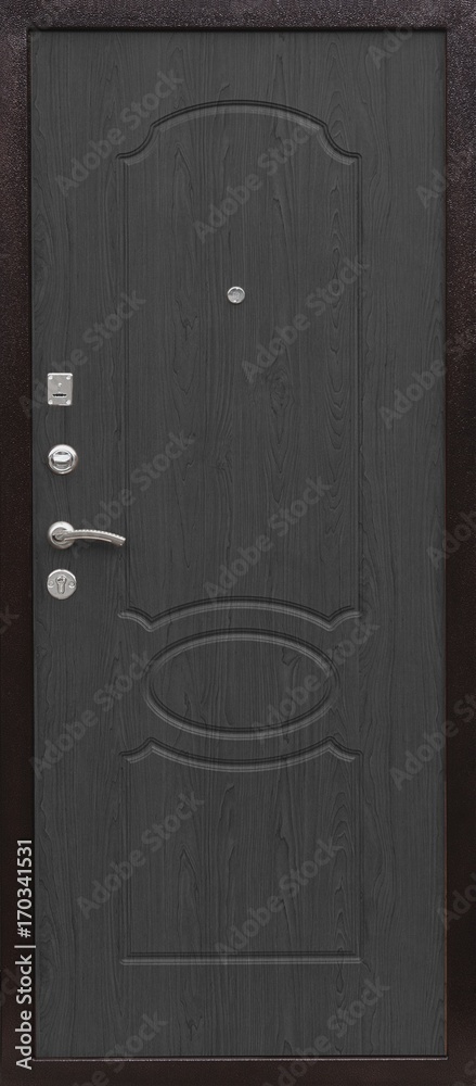 Entrance door (metal door)