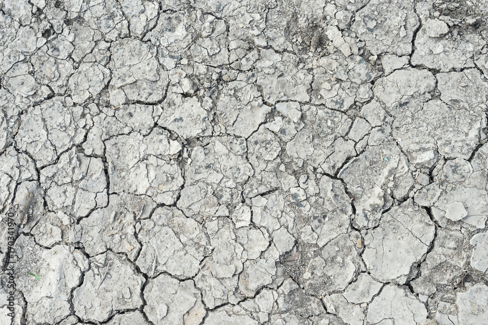 Cracks in the dried soil in arid season as a texture Cracks in the dried soil in arid season as a texture