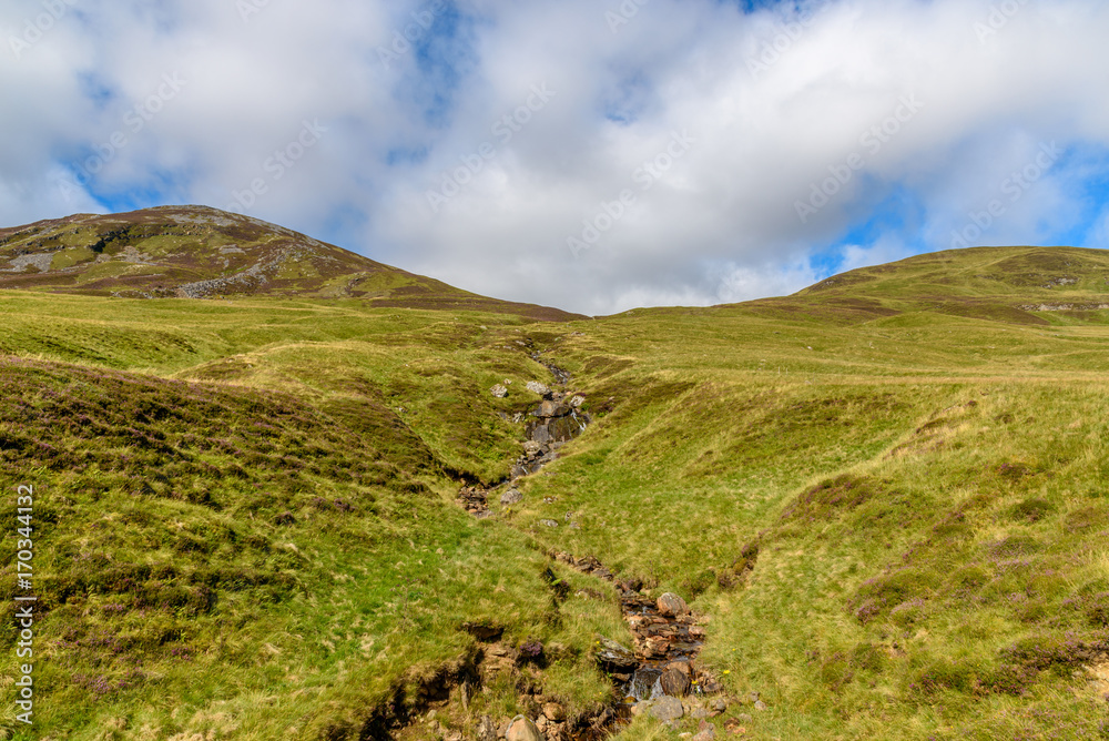 Scottish countryside in summer