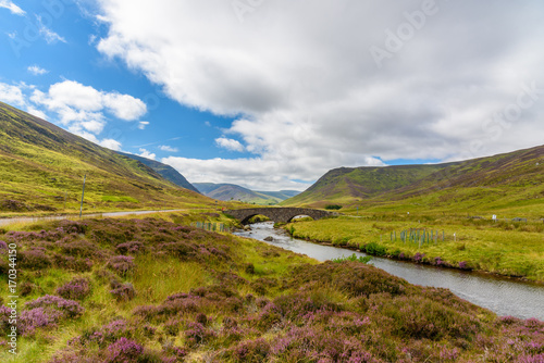 Scottish countryside in summer