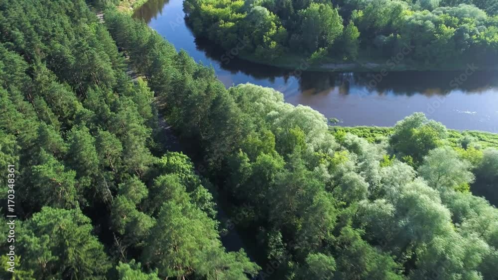 aerial view of sport car driving in forest aerial view of sport car driving in forest