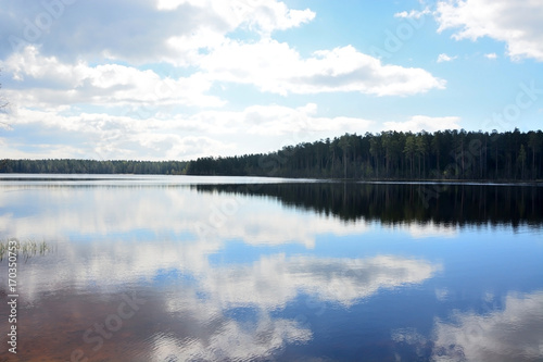 Calm forest lake with reflections. Russia, Saint-Petersburg region