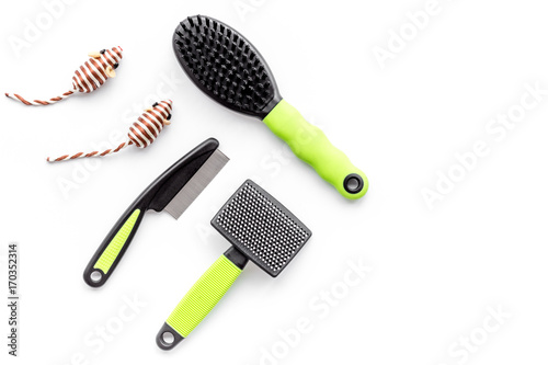 pet care and grooming tools with brushes on white background top view space for text