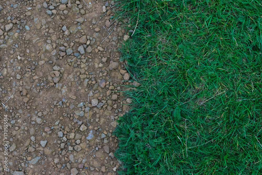 Gravel and Grass Gravel and Grass