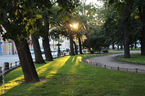 park in the city and the street at sunset in summer, the sun shines through the foliage of trees in the park at sunset