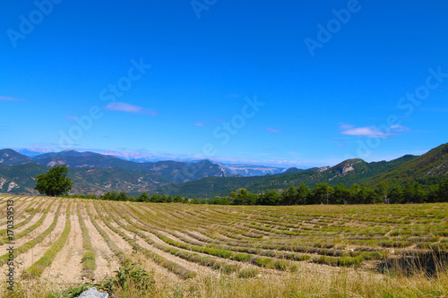 Alpes Haute Provence - Hautes Alpes © AVINOT