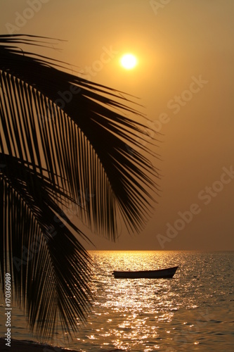 Sunset over Lake Malawi with a palm tree and a small fishing boat