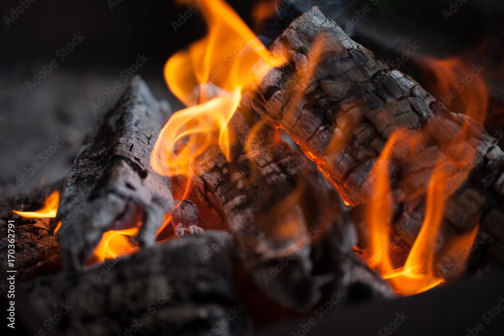 Bonfire. Fire wood. Grilling and cooking fire. Woodfire with flames. Bonfire. Fire wood. Grilling and cooking fire. Woodfire with flames.