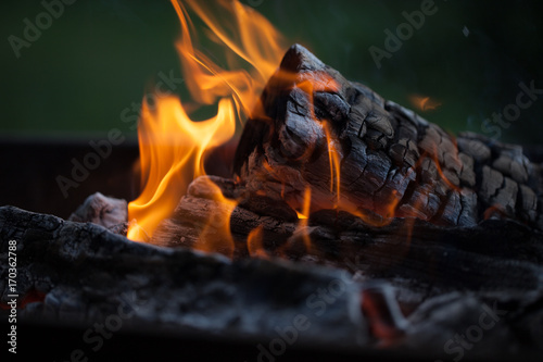 Bonfire. Fire wood. Grilling and cooking fire. Woodfire with flames. 