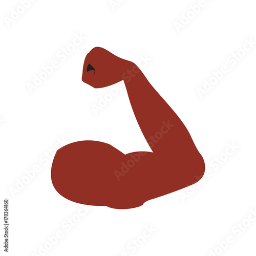 Isolated flexed arm icon on a white background, Vector illustration