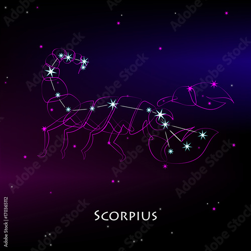 Constellation scorpius. Scorpio - constellations of the zodiac and the astrological sign against the backdrop of night starry sky. Vector illustration on a dark background