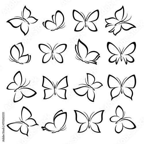 Butterflies set. Vector