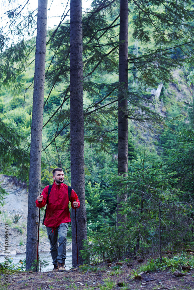 Young man with beard walking in mountainous forest Young man with beard walking in mountainous forest