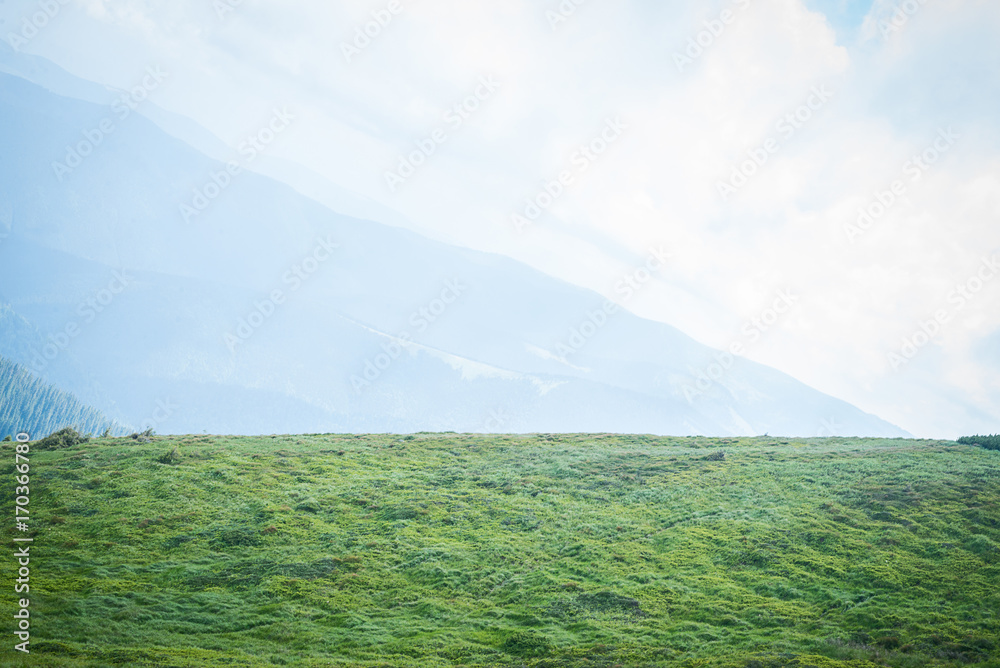 Fototapeta premium Travel, trekking. Summer landscape - mountains, green grass, trees and blue sky. Horizontal frame