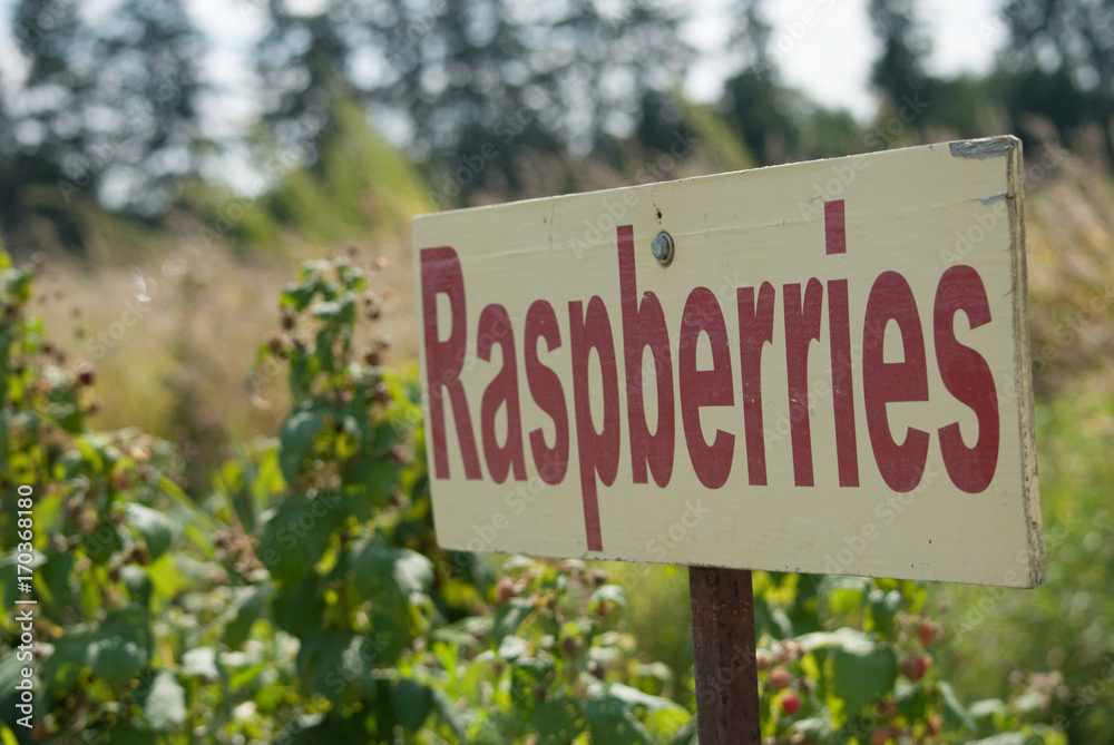 Raspberries Sign