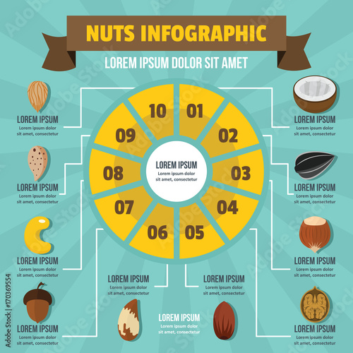 Nuts infographic, flat style