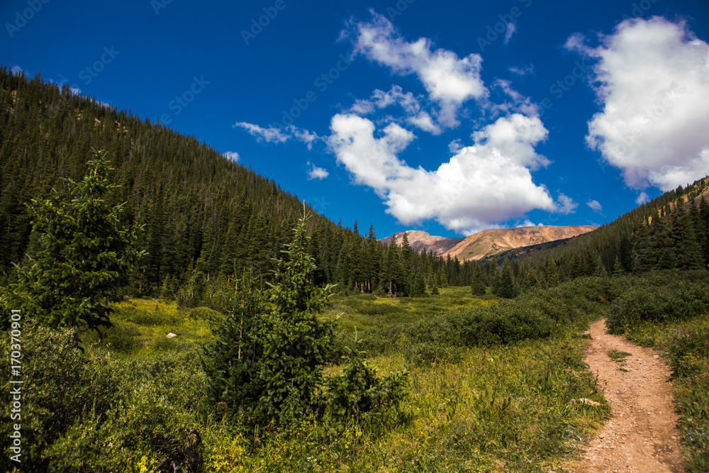 Mountain trail, green meadow and distant mountains, Colorado. USA