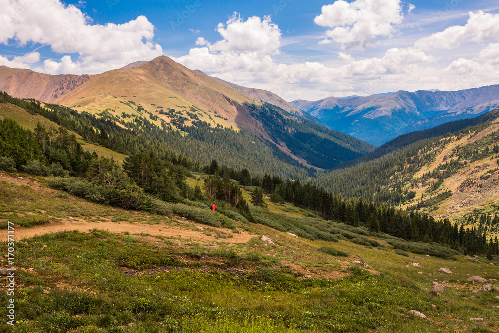 Mountain range landscape with blue sky pine trees valley. Colorado. USA