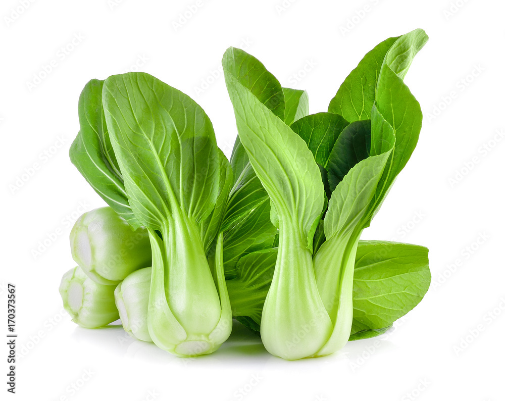 Bok choy vegetable on white background Bok choy vegetable on white background