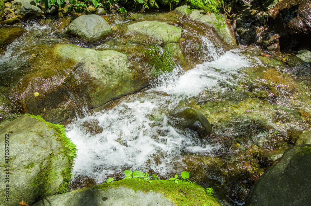 Beautiful creek flowing inside of a green forest with stones in river at Mindo