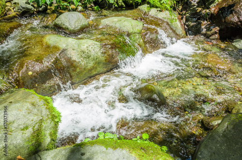 Beautiful creek flowing inside of a green forest with stones in river at Mindo