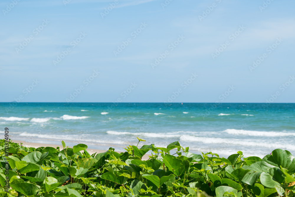 Sea in Rayong, Thailand . The beautiful sea in thailand Sea in Rayong, Thailand . The beautiful sea in thailand
