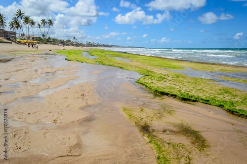 Beaches of Brazil - Porto de Galinhas. photo