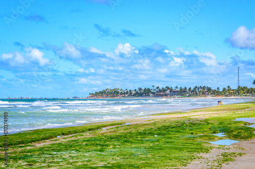 Beaches of Brazil - Porto de Galinhas.