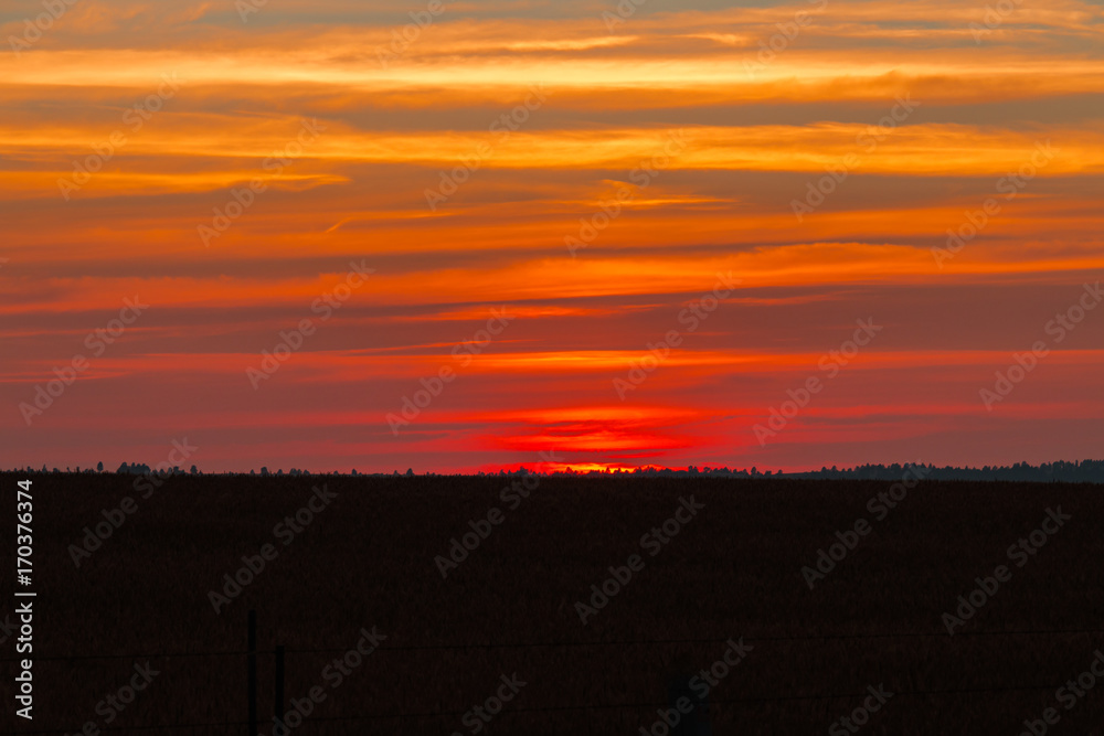 Sunset with orange and red clouds behind some pine forest Sunset with orange and red clouds behind some pine forest