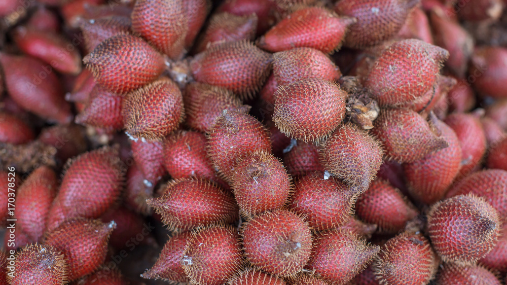 Salak , Salacca zalacca in the market Salak , Salacca zalacca in the market