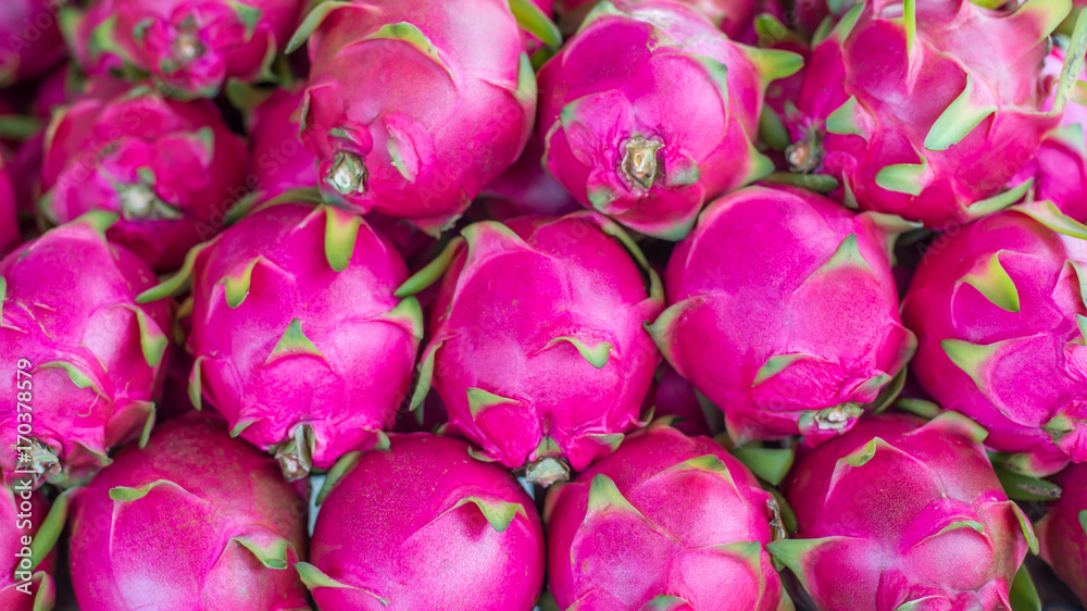 Dragon fruit