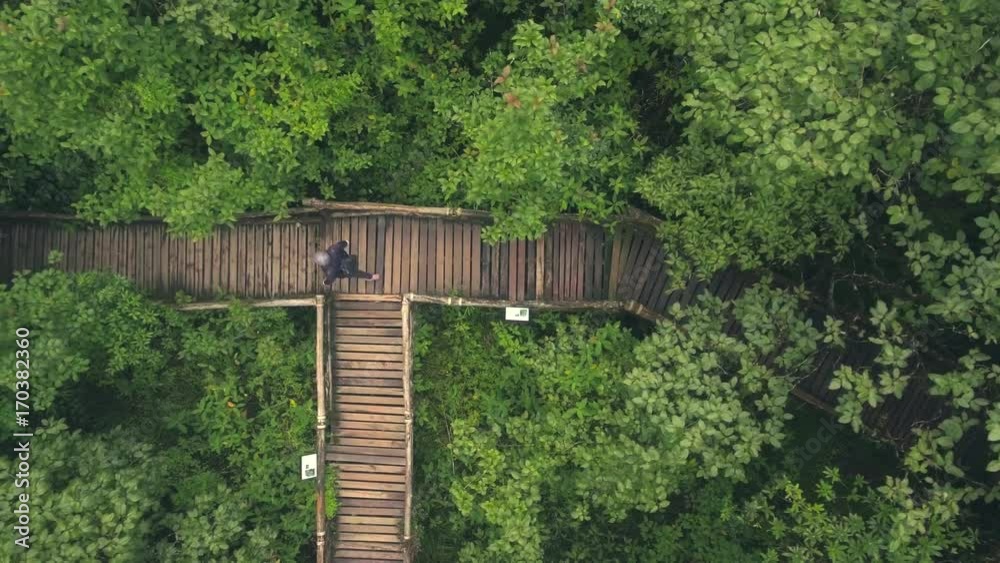 happy woman in rainforest overhead shot happy woman in rainforest overhead shot