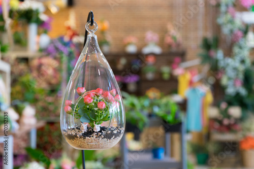Mini garden in glass plant terrarium with rose flowers made of fabric. Colorful of decoration artificial flower